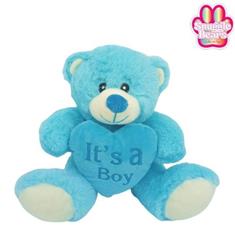 Baby Boy Bear Soft Toy