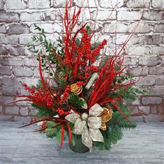 Majestic Citrus Festive Arrangement